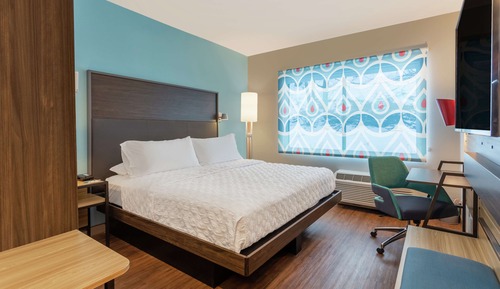 Room, 1 King Bed