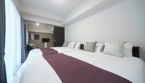 Deluxe Twin  Room Type B