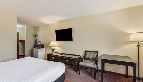 Room, 1 King Bed, Accessible, Non Smoking