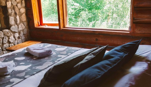 Standard Cabin