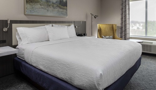 Room, 1 King Bed