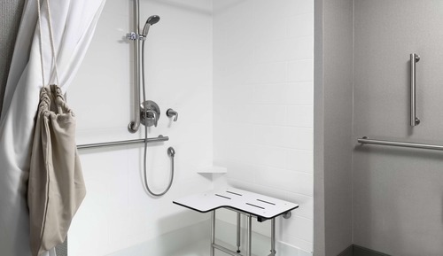 Room, 1 King Bed, Accessible (Roll-In Shower, Mobility & Hearing)