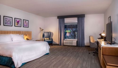 Room, 1 King Bed, Accessible (Hearing)