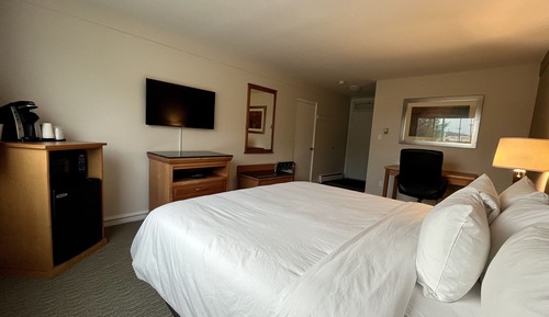 Deluxe Single Room, 1 King Bed