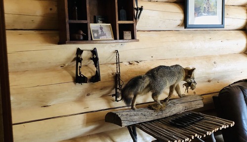 Hunter Cabin, Mountain View