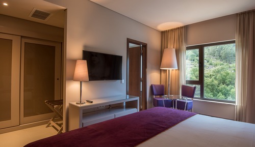Double Room Single Use