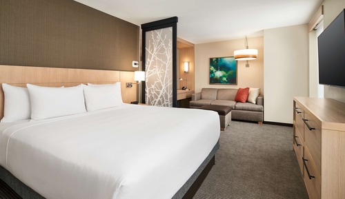 Room, 1 King Bed with Sofa bed, Accessible, Bathtub