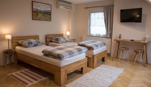 Family Double or Twin Room