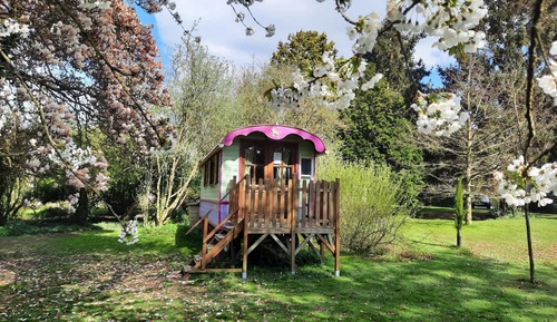 Basic Room, Patio, Garden View