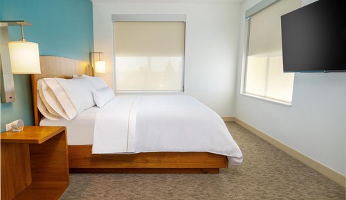 Executive Suite, 1 King Bed with Sofa bed