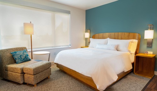 Room, 1 King Bed