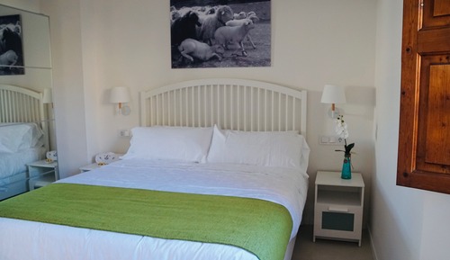 Basic Double Room