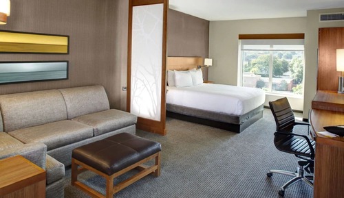 Room, 1 King Bed with Sofa bed