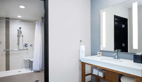Suite, 1 King Bed with Sofa bed, Accessible (Shower)
