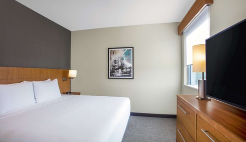 Suite, 1 King Bed with Sofa bed