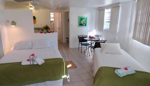 Classic Studio Suite, Multiple Beds, Refrigerator (STARFISH - BONEFISH)