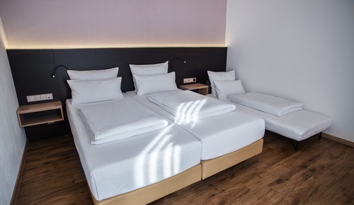 Basic Triple Room