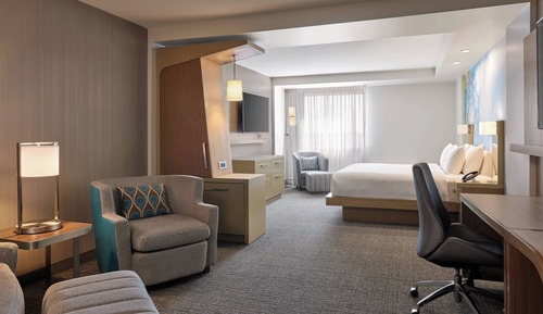 Suite, 1 King Bed with Sofa bed