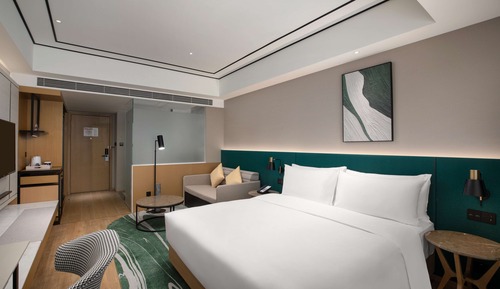 Room, 1 King Bed