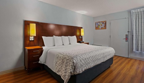 Room, 1 King Bed, Accessible, Non Smoking