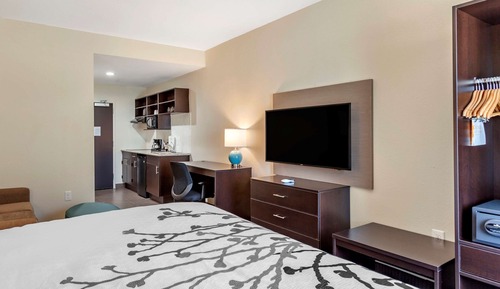 Suite, 1 King Bed with Sofa bed, Non Smoking (Efficiency)