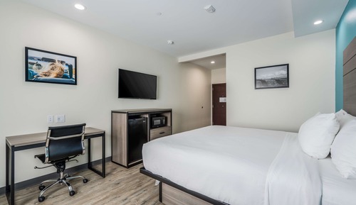 Room, 1 King Bed, Non Smoking, Kitchenette