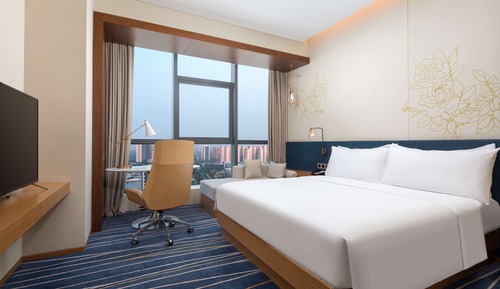 Basic Room, 1 King Bed