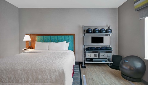 Room, 1 King Bed, Accessible (Mobility & Hearing, Roll-in Shower)