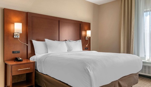 Suite, 1 King Bed with Sofa bed, Accessible, Non Smoking (Roll-In Shower)