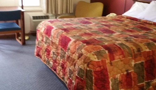 Economy Single Room