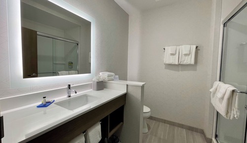 Standard Room, 1 King Bed (Walk-In Shower)