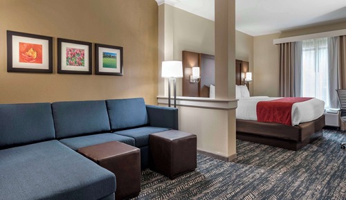 Premium Suite, 1 King Bed with Sofa bed, Non Smoking
