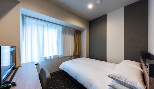 Single Room, Non Smoking (with Bathtub)