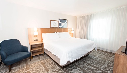 Studio Suite, 1 King Bed, Accessible, Kitchen (Hearing, Roll-In Shower)