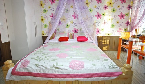 Studio (Flora)