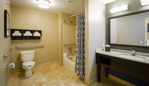Suite, 1 King Bed