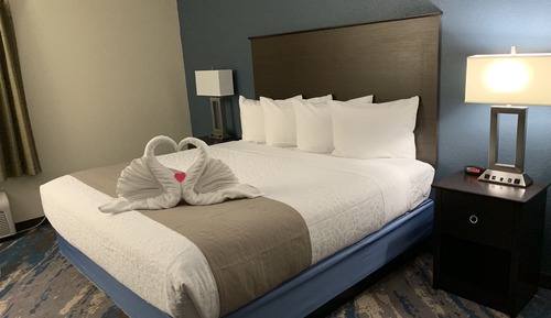 Room, 1 King Bed, Non Smoking