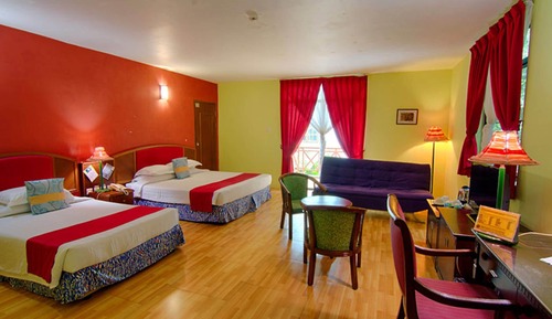 Standard Quad Room
