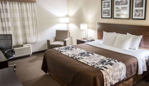 Standard Room, 1 King Bed, Non Smoking