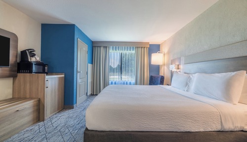 Standard Room, 1 King Bed, Accessible (Mobility, Roll-In Shower)