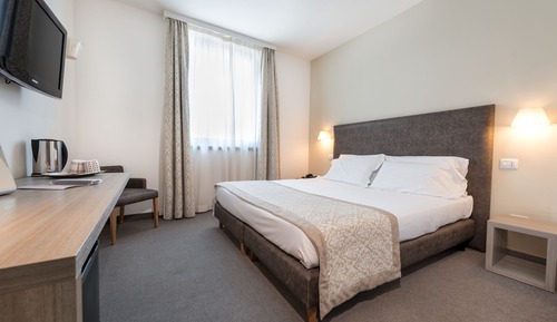 Standard Double Room Single Use