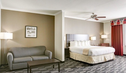 Suite, 1 King Bed with Sofa bed, Accessible, Non Smoking