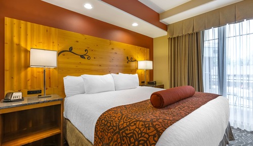 Standard Room, 1 King Bed, Non Smoking (with Sofabed)