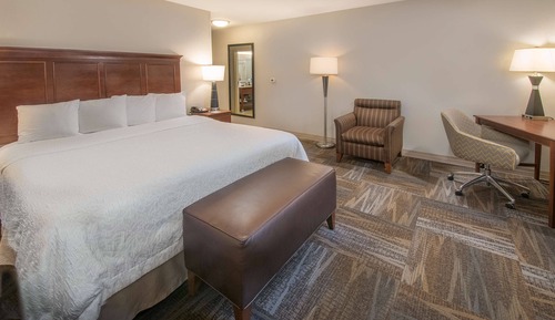Room, 1 King Bed