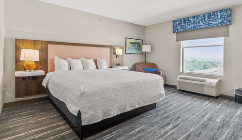Room, 1 King Bed, Accessible, Non Smoking