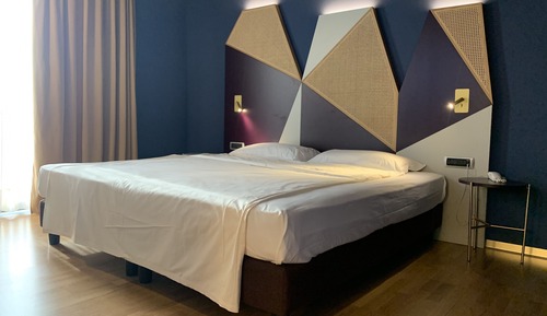 Deluxe Double Room Single Use