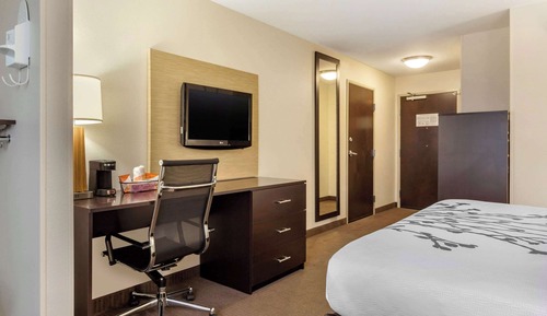 Room, 1 King Bed, Accessible, Non Smoking