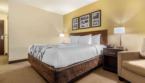 Standard Room, 1 King Bed, Non Smoking