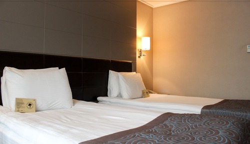 Standard Room, Twin Beds