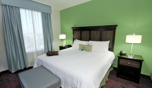 Studio Suite, 1 King Bed